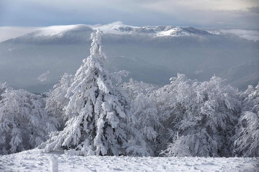 ҕXЇ(gu)(qun)ƷՈ(qng)D(zhun)d