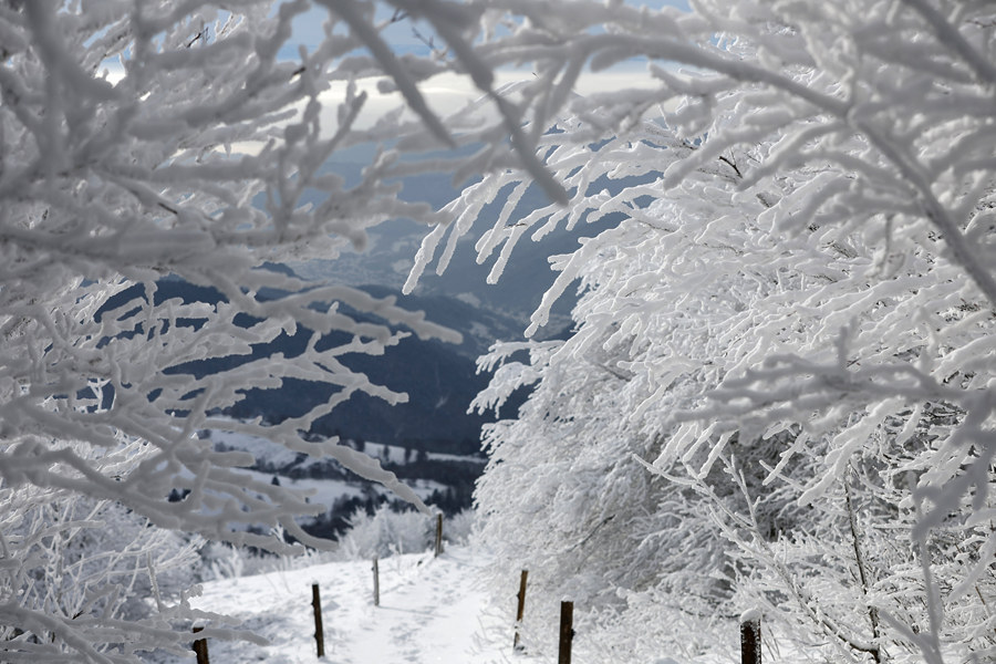 ҕXЇ(gu)(qun)ƷՈ(qng)D(zhun)d