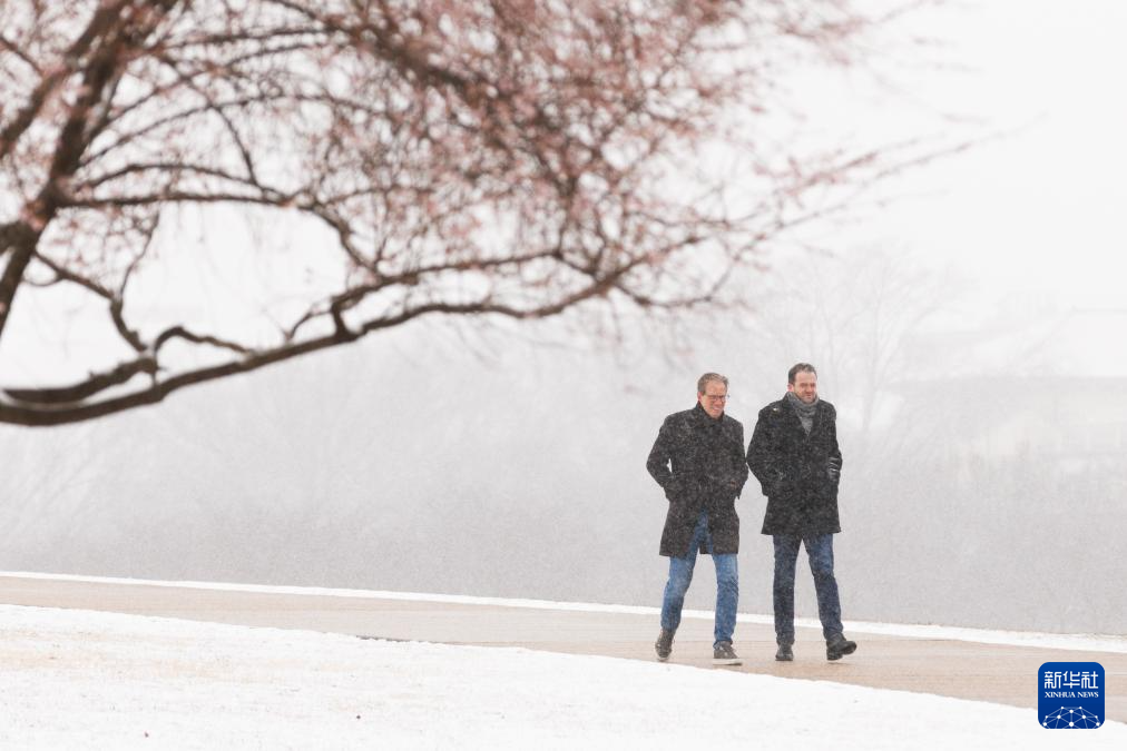 115գ׶AʢDðѩڇҏVɢAl(f)z