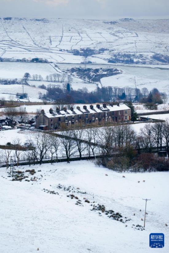 @119ӢӢmĔzѩɫAl(f)̶z