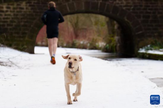 119һֻСӢӢmѩˣAl(f)̶z