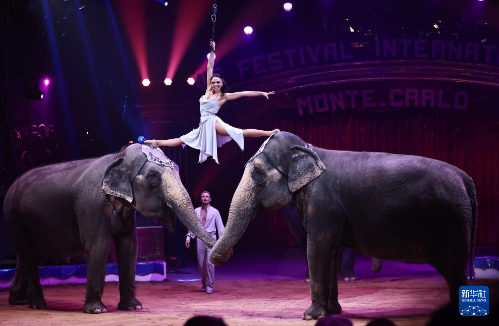 119݆TĦ{ؿekĵ46ؿHR(ji)ϱAӛ o z