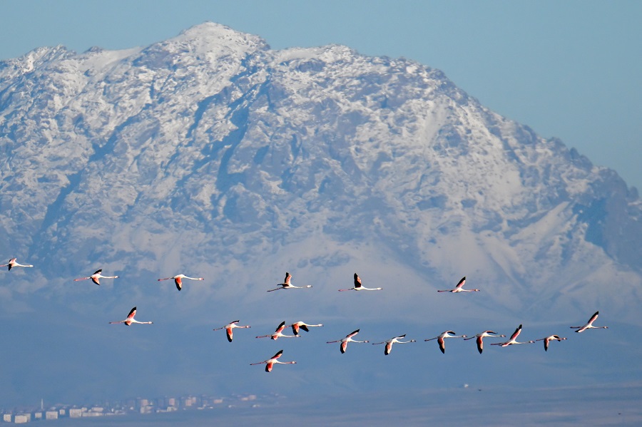 IC photo(qun)ƷՈD(zhun)d