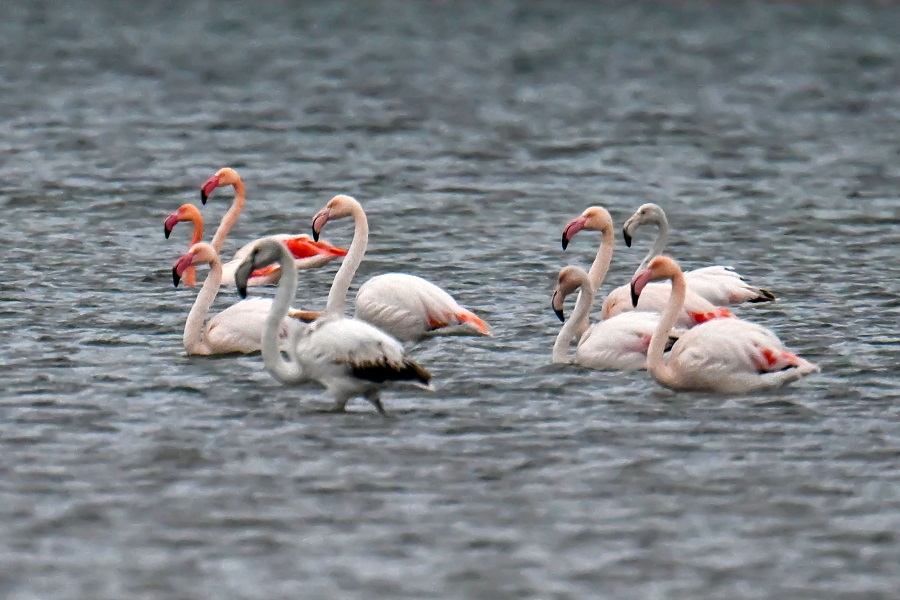 IC photo(qun)ƷՈ(qng)D(zhun)d