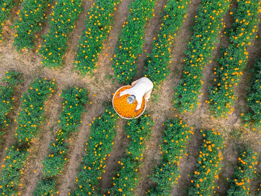 IC photo(qun)ƷՈD(zhun)d