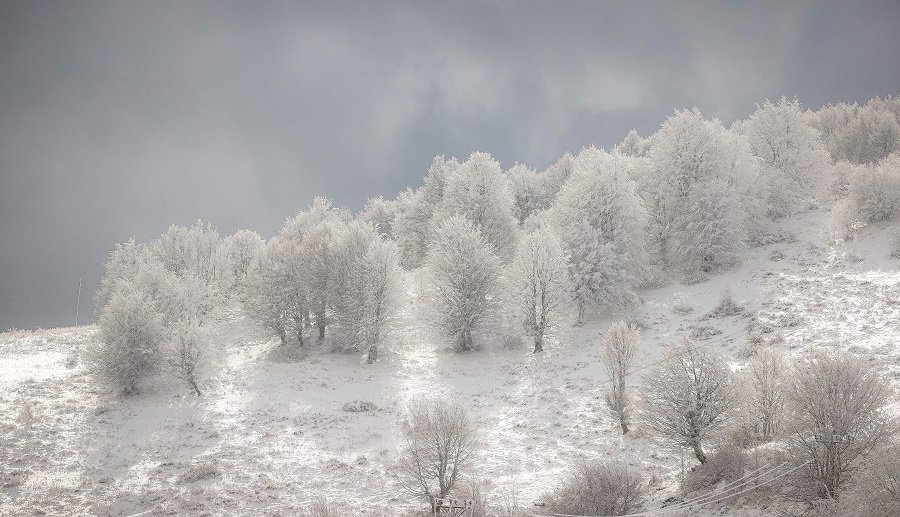 IC photo(qun)ƷՈ(qng)D(zhun)d