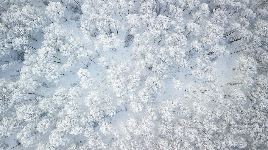 IC photo(qun)ƷՈ(qng)D(zhun)d