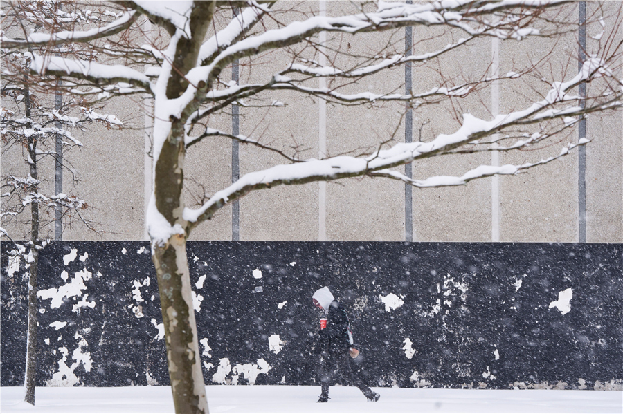 ICphoto(qun)ƷՈ(qng)D(zhun)d