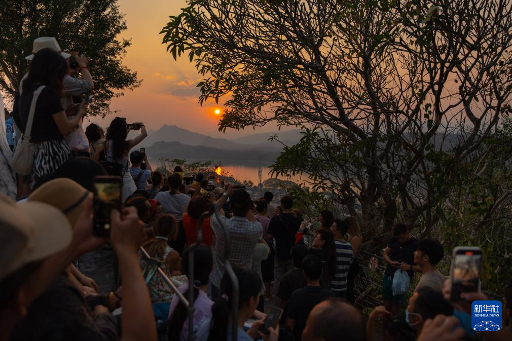 216οϓ묘ɽɽ^pվ^Al(f)P̔z