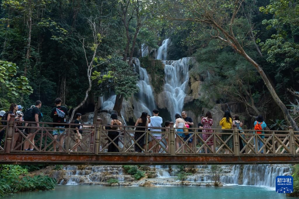 216ο[ϓ묘ٲAl(f)P̔z