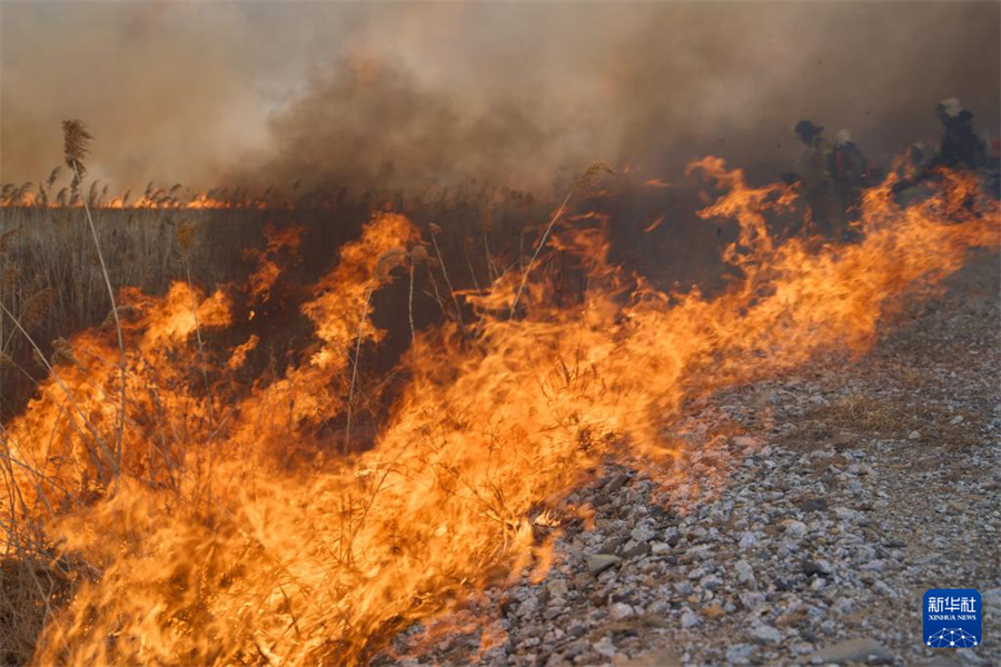 @35ڶ_˹I߅^(q)ϲĔzҰF(xin)(chng)Al(f)wޔz