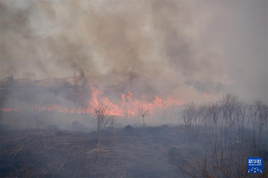 @35ڶ_˹I߅^(q)ϲĔzҰF(xin)Al(f)wޔz