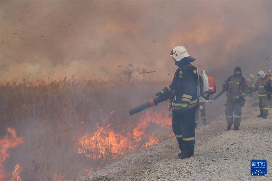 35Tڶ_˹I߅^(q)ϲҰF(xin)Al(f)wޔz