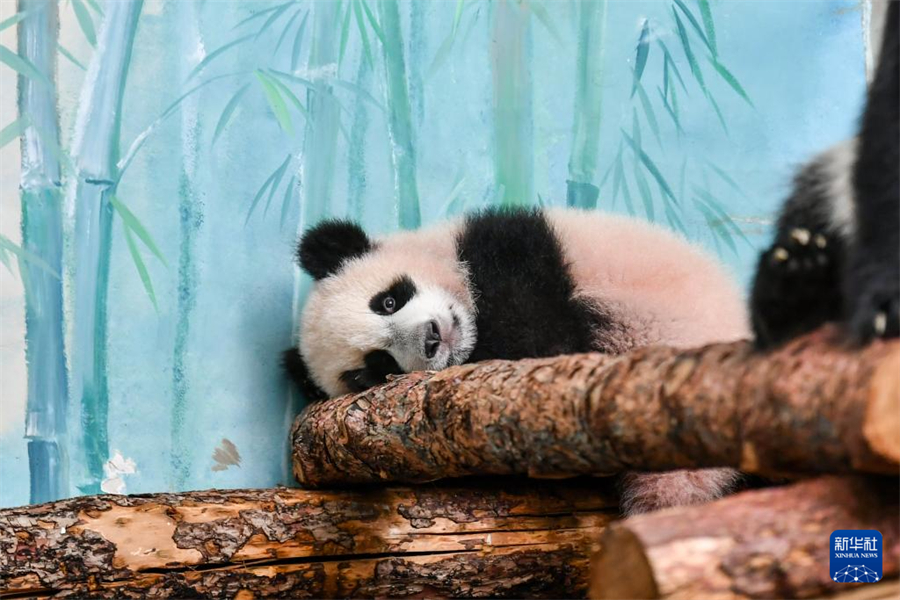 @38ڶ_˹Ī˹Ƅ@ĔzĴ؈ɯAӛ  z