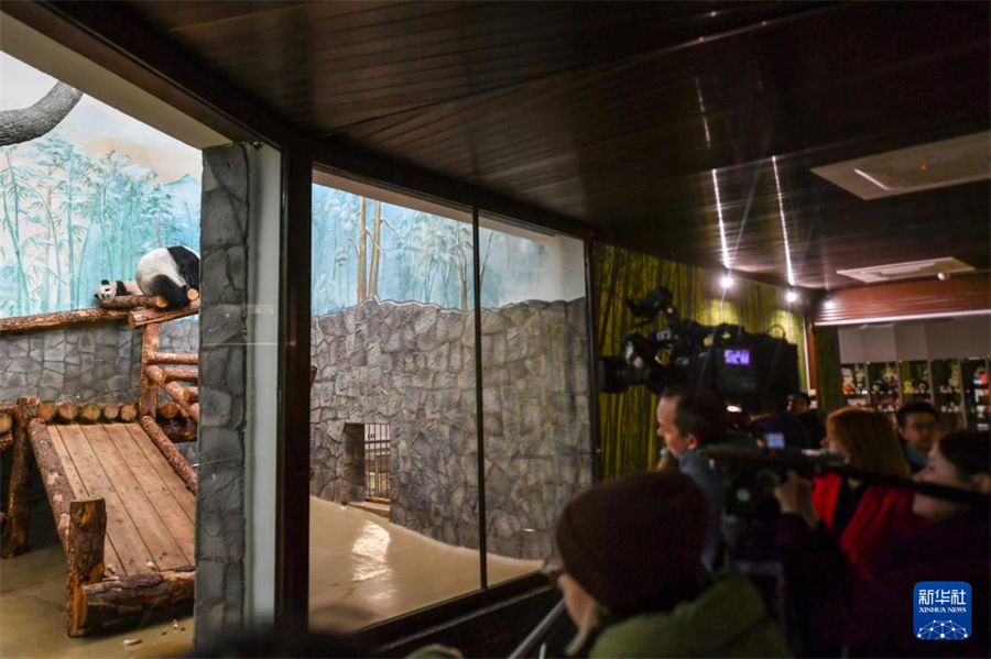 38˂ڶ_˹Ī˹Ƅ@^؈ɯ󣩺͋Aӛ  z