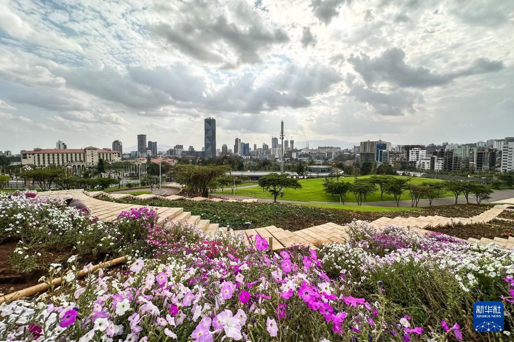 @228ڰȁ׶˹ؐxVĔzľɫAl(f)~ˠfz