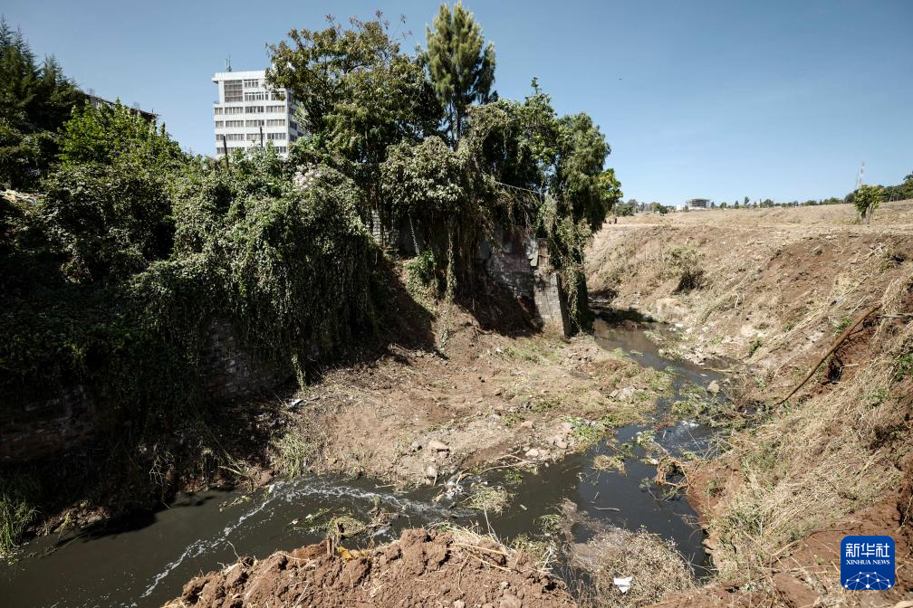 @2019227ڰȁ׶˹ؐĔzĸǰxVڵAl(f)нһּF(tun)D