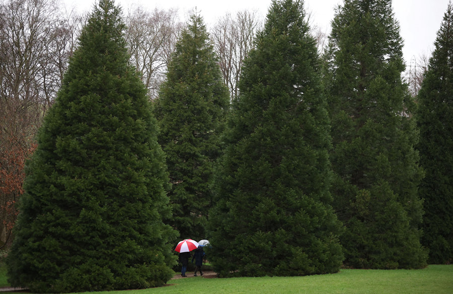 ICphoto(qun)ƷՈ(qng)D(zhun)d