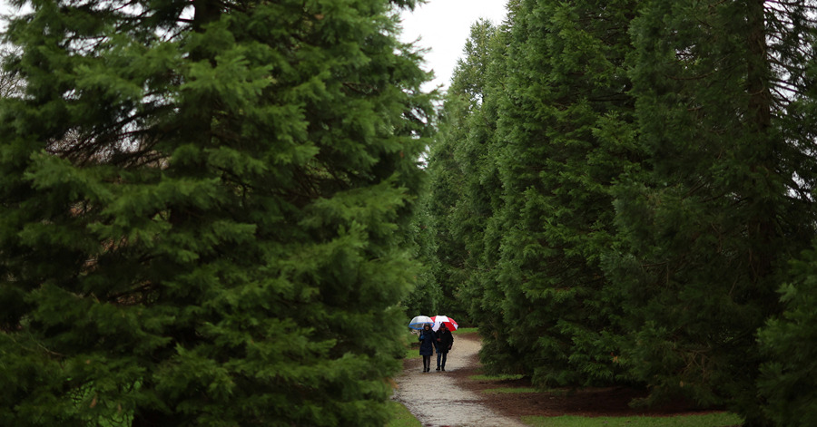 ICphoto(qun)ƷՈD(zhun)d