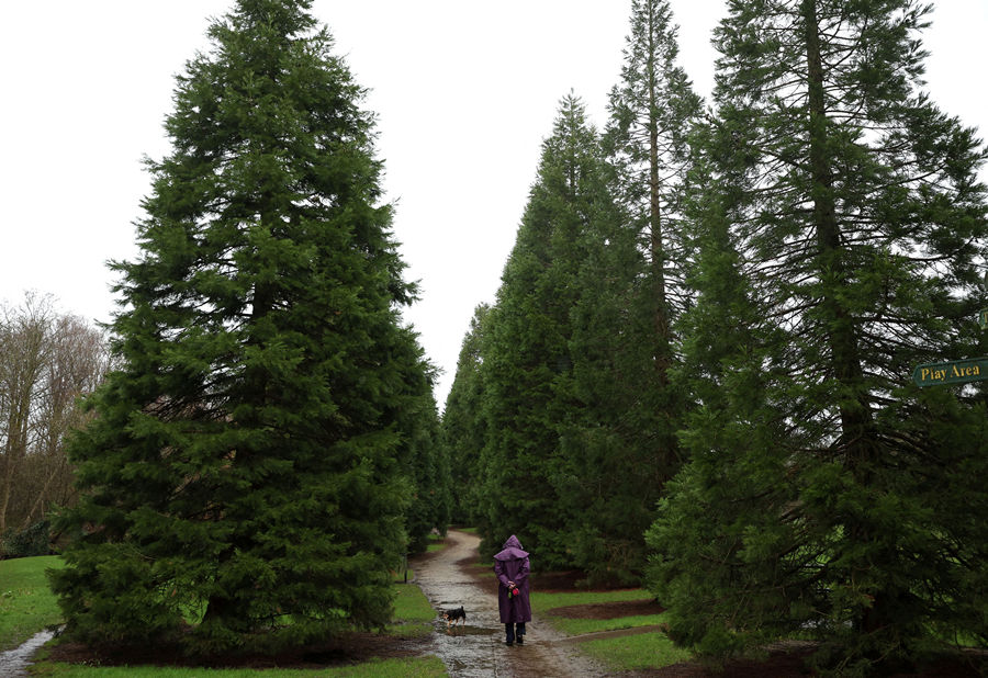 ICphoto(qun)ƷՈD(zhun)d