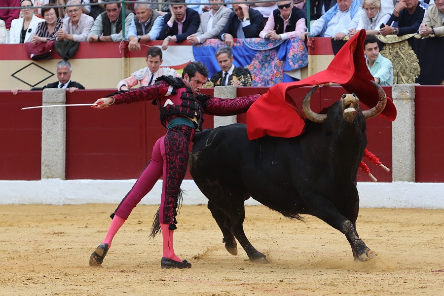 IC Photo(qun)ƷՈD(zhun)d