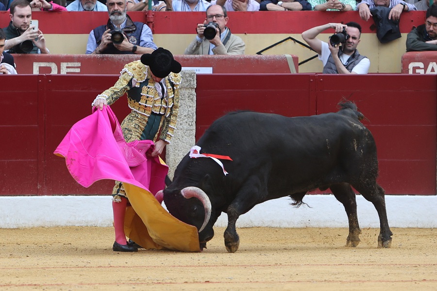 IC Photo(qun)ƷՈD(zhun)d