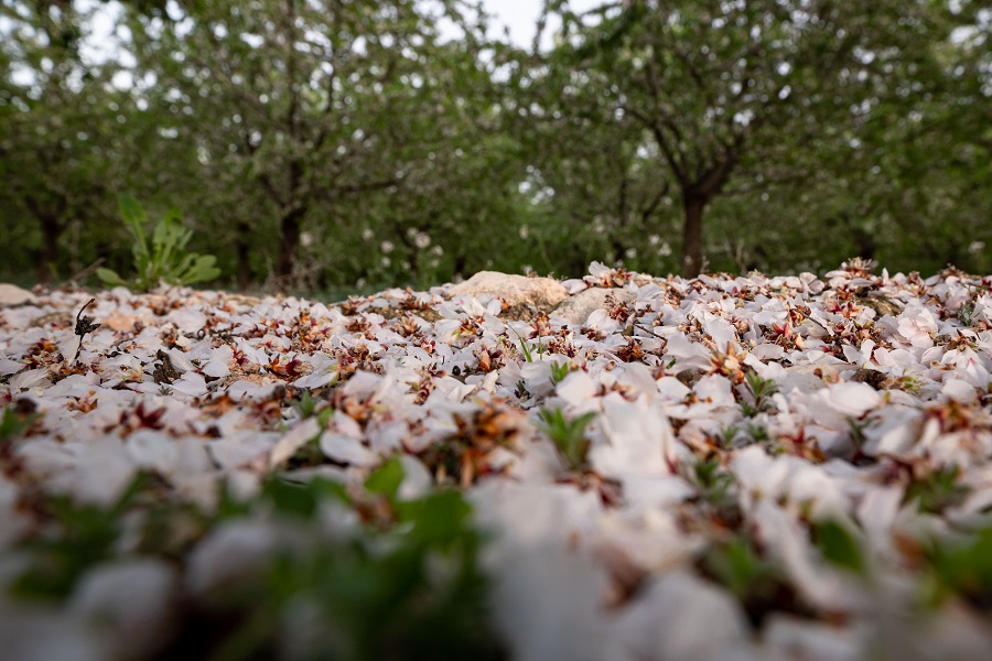 IC Photo(qun)ƷՈ(qng)D(zhun)d