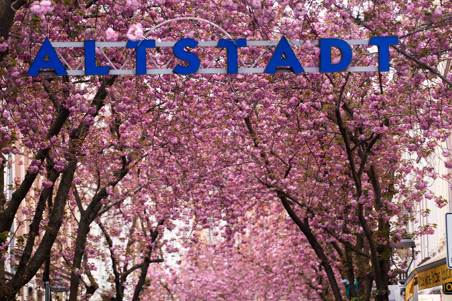 IC Photo(qun)ƷՈD(zhun)d