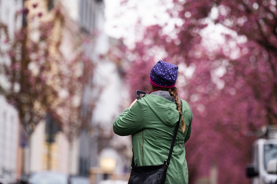 IC Photo(qun)ƷՈD(zhun)d