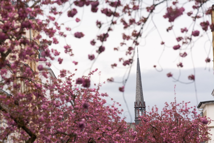 IC PhotoƷՈDd