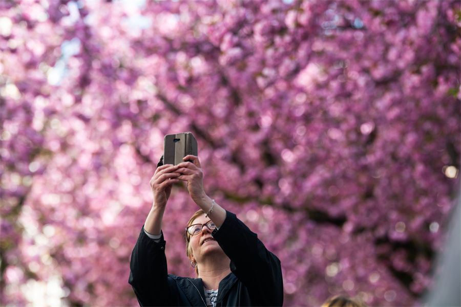 IC Photo(qun)ƷՈD(zhun)d