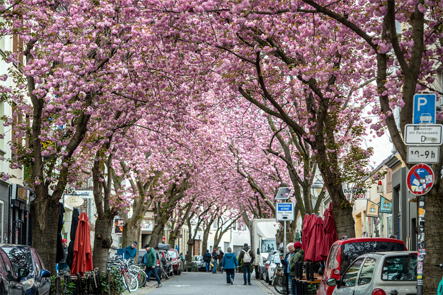 IC Photo(qun)ƷՈD(zhun)d