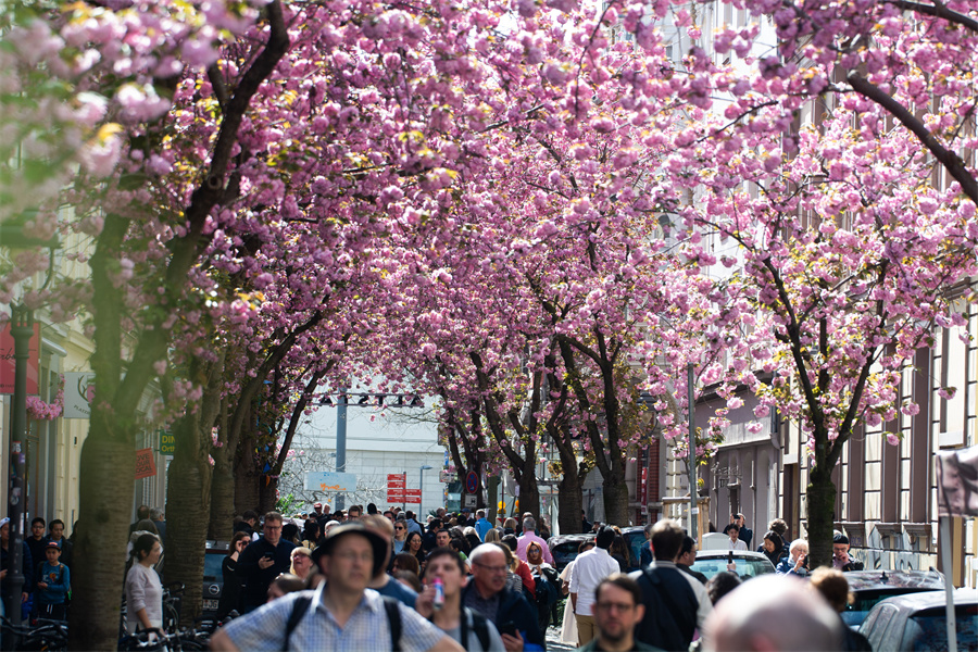 IC Photo(qun)ƷՈD(zhun)d