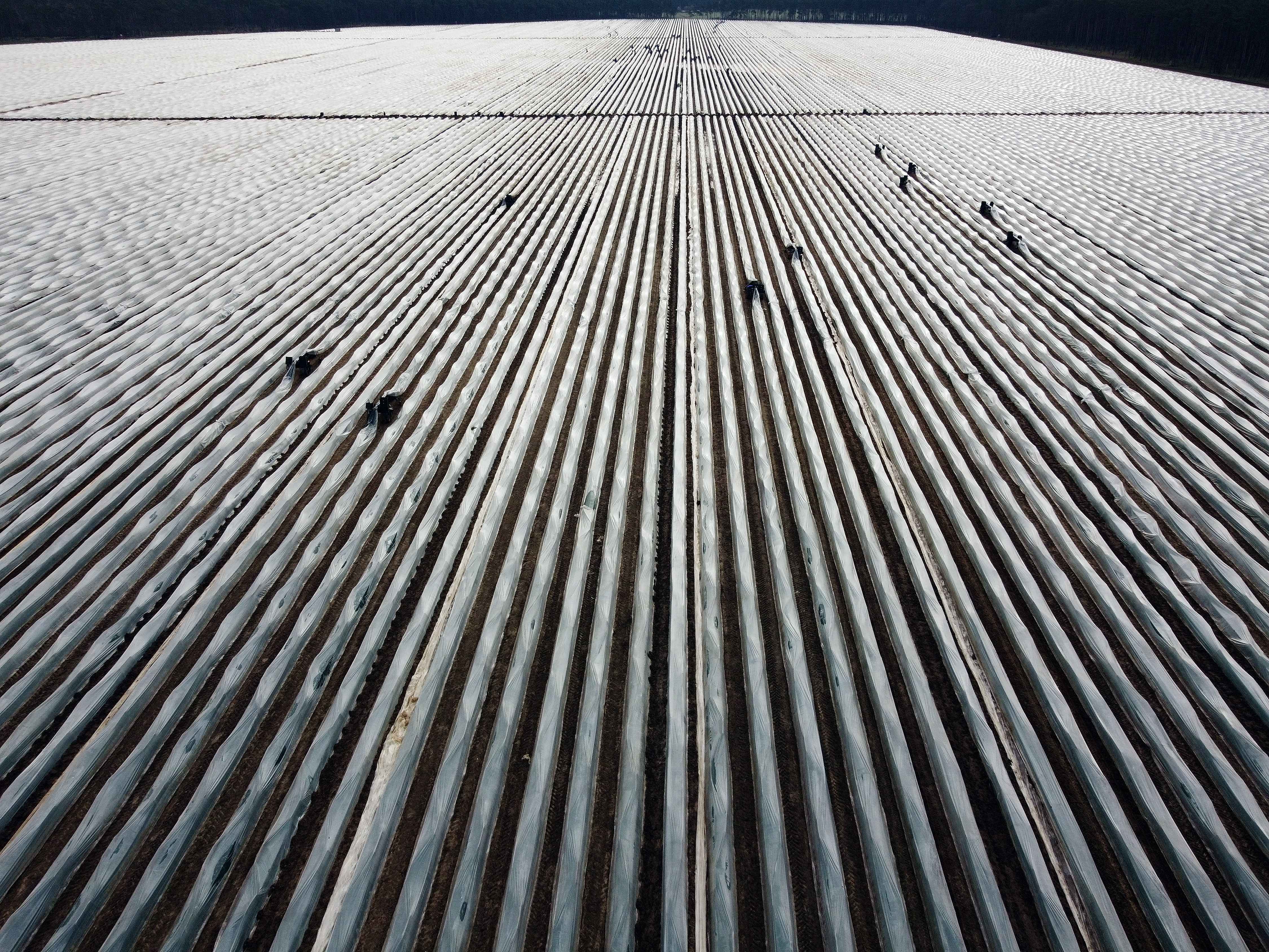 IC Photo(qun)ƷՈD(zhun)d