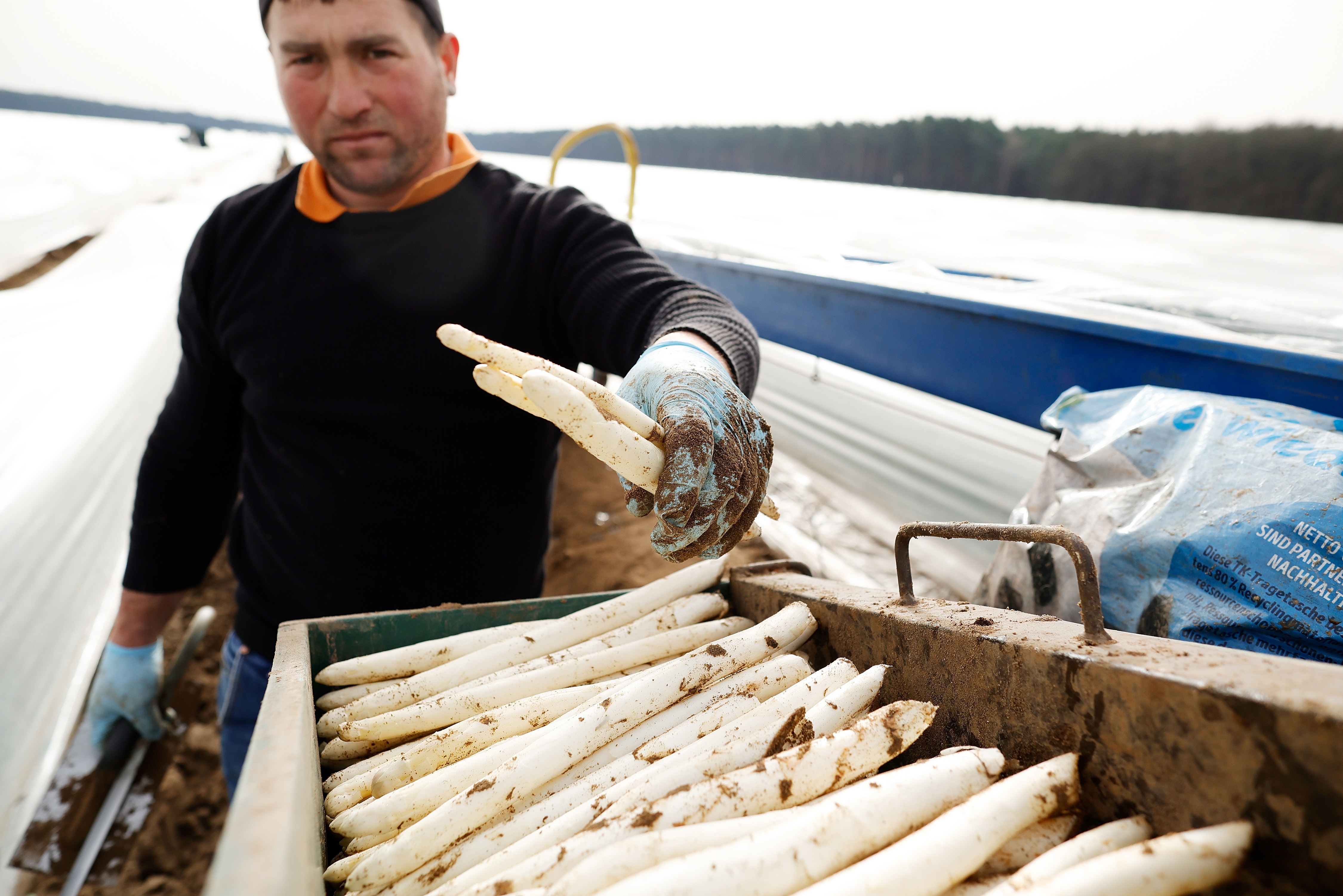 IC Photo(qun)ƷՈ(qng)D(zhun)d