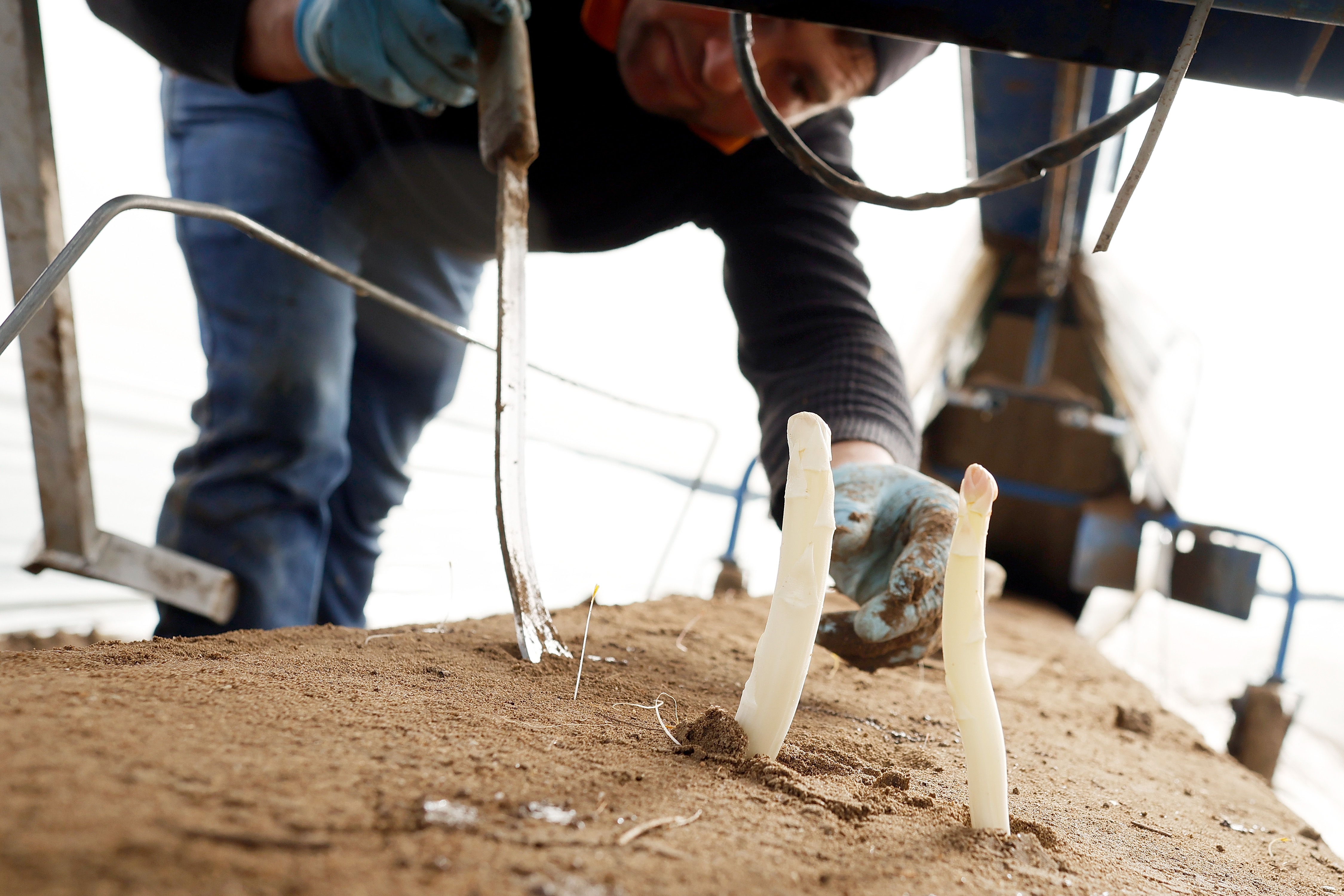 IC Photo(qun)ƷՈD(zhun)d