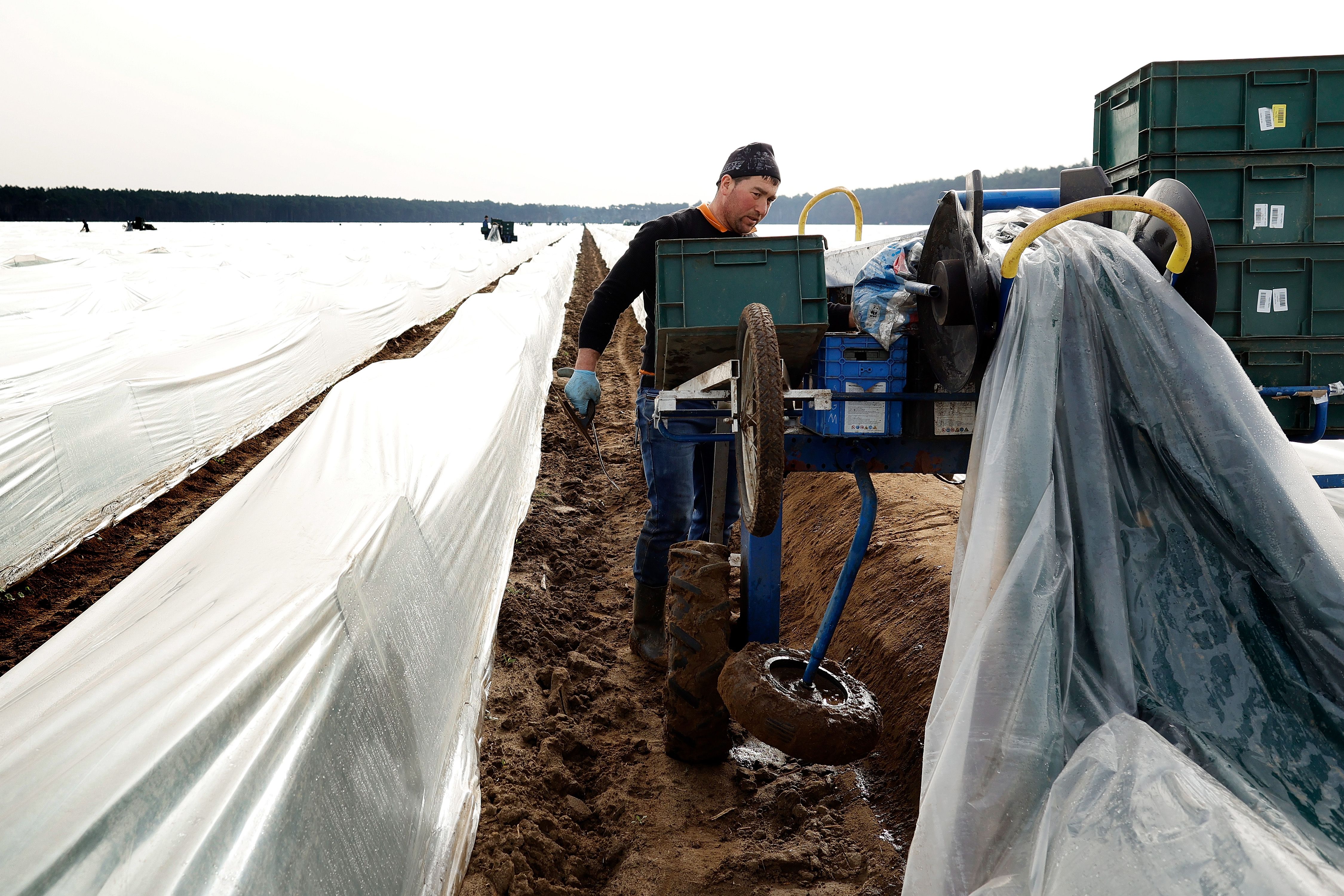 IC Photo(qun)ƷՈD(zhun)d