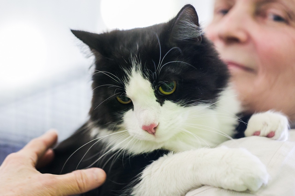 IC Photo(qun)ƷՈ(qng)D(zhun)d