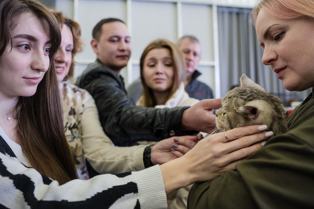 IC Photo(qun)ƷՈ(qng)D(zhun)d