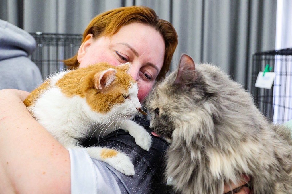 IC Photo(qun)ƷՈD(zhun)d