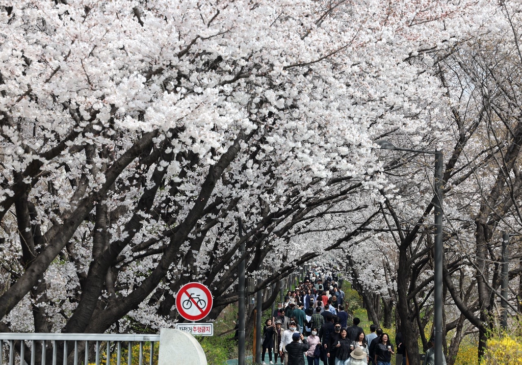 IC PhotoƷՈDd