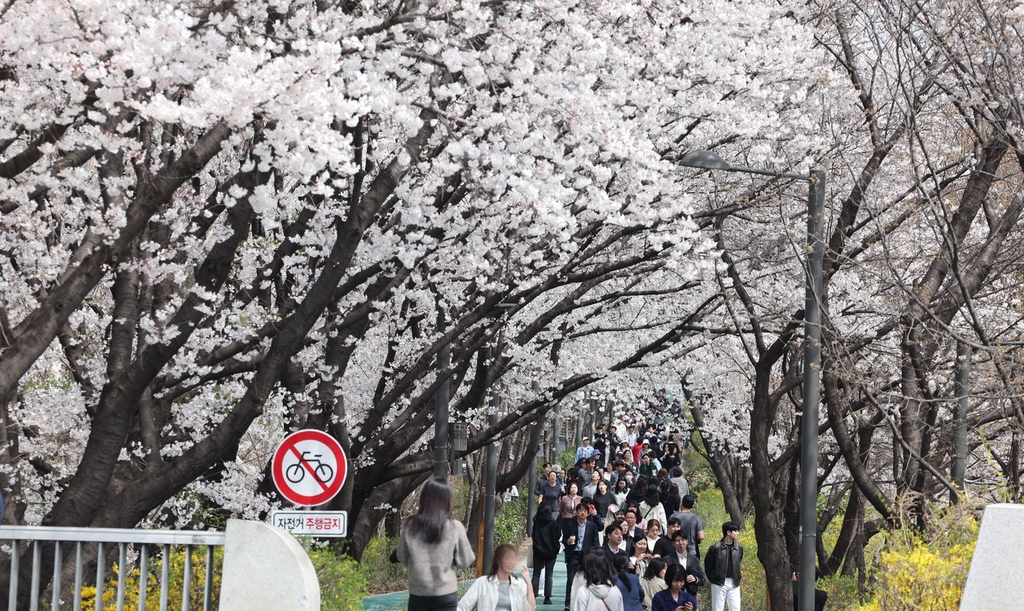 IC Photo(qun)ƷՈD(zhun)d