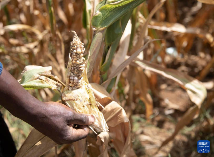 43r(nng)ڽͲf׶׽һK׵ؙzLAl(f)Ф_ z