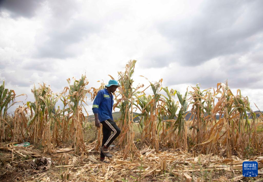 43գr(nng)ڽͲf׶׽һK׵ؙzLݡAl(f)Ф_ z