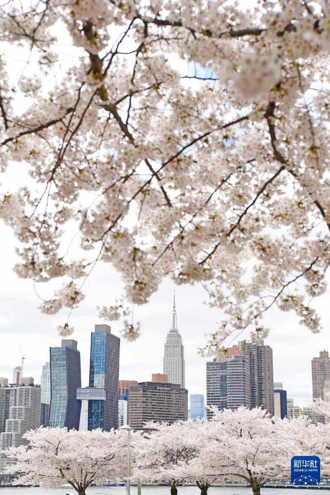 45գ(gu)~sѻӳh(yun)̎ĵۇ(gu)BAӛ  z