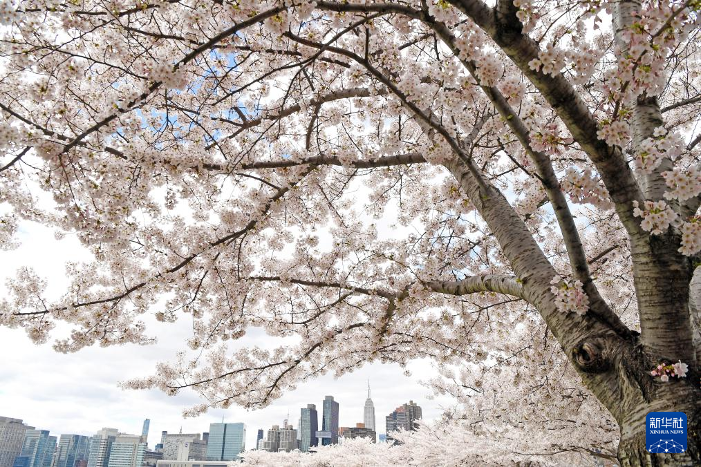 45գ(gu)~sѻӳh(yun)̎ĵۇ(gu)BAӛ  z