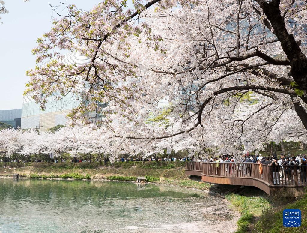 47nנʯpѻAӛ Ҧ z