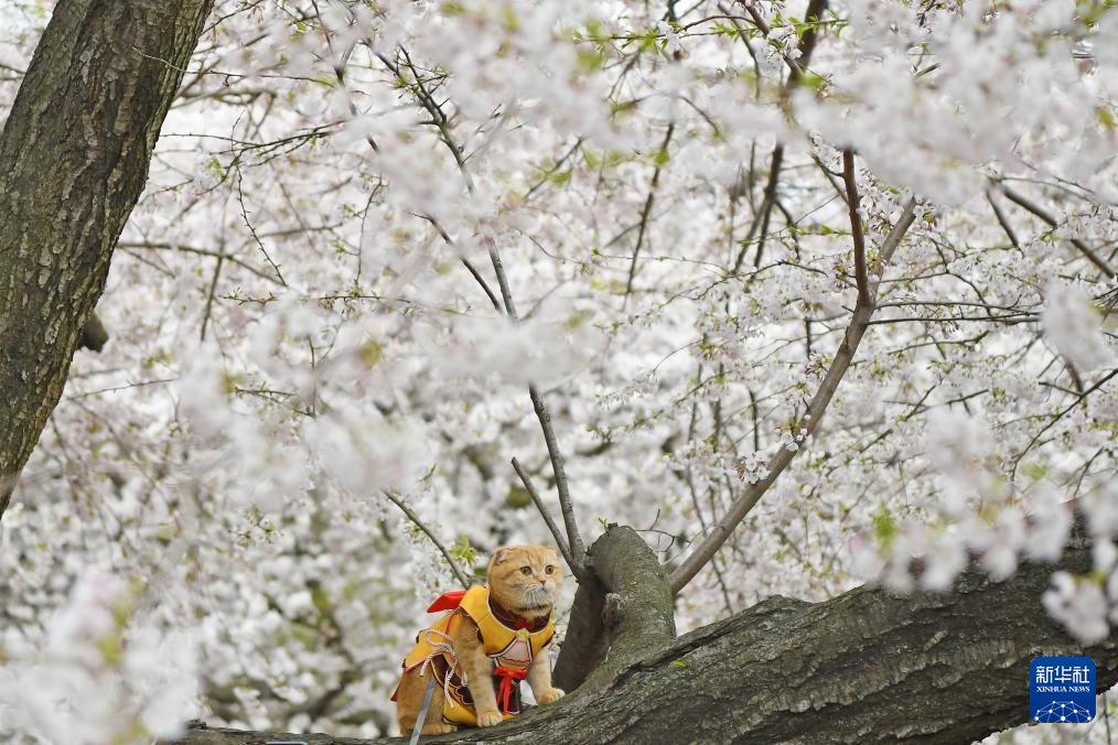 46(gu)~s빫@һֻС؈ſڙѻAӛ  z