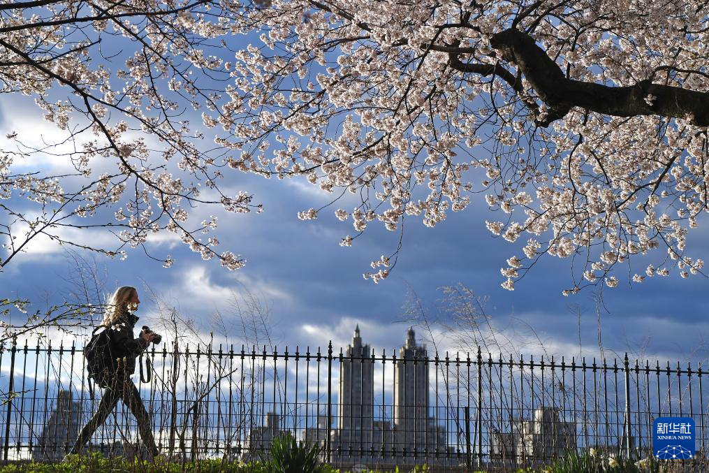 46һŮӏ~s빫@ęѻ^Aӛ  z