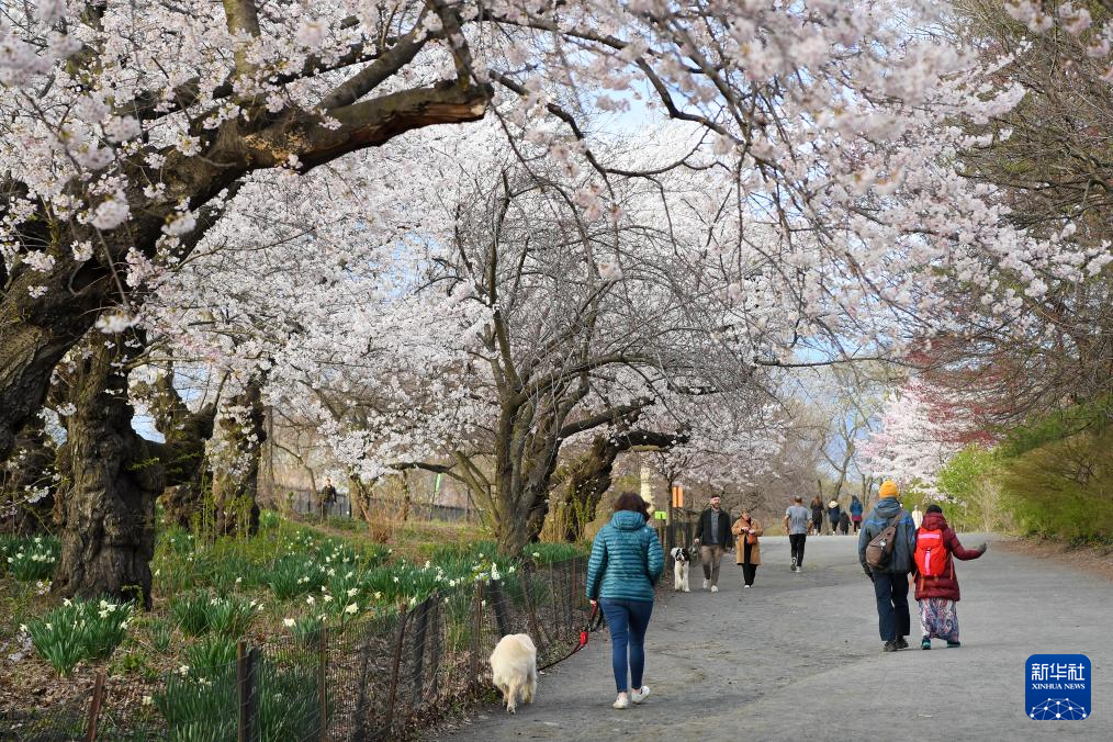 46˂?c)?gu)~s빫@ęѻeAӛ  z